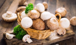 口蘑白菜的正确方法 口蘑白蘑菇的做法