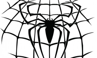 家里出现大蜘蛛征兆 家里出现大蜘蛛征兆风水_卓玛运势网