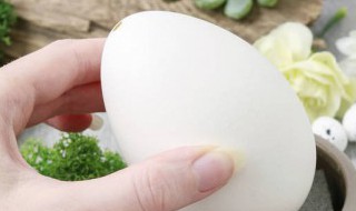 鹅蛋的作用 鹅蛋的作用与功效,血糖高能吃鹅蛋吗