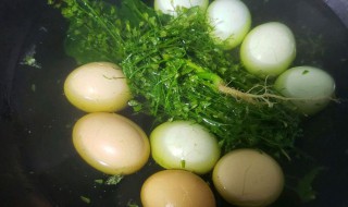 煮荠菜鸡蛋的方法（煮荠菜鸡蛋的方法和窍门）