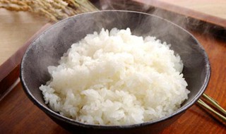米饭和面条哪个更容易发胖（米饭和面条哪个更容易发胖?）