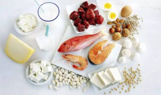 蛋白质含量高的食物表 蛋白质含量高的食物表图片
