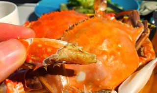 梭子蟹酱的做法和配方（梭子蟹酱怎么做好吃）
