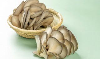 奶白菜炒平菇的做法 奶白菜炒蘑菇的做法