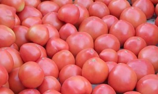 西红柿和什么不能一起吃 西红柿和什么不能一起吃有毒