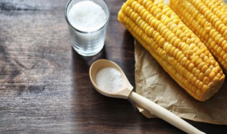 玉米属于碳水化合物吗（红薯和玉米属于碳水化合物吗）