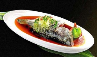 清蒸石斑鱼是哪个地方的菜（清蒸石斑鱼是哪个地方的菜系）
