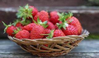 草莓季节是几月份 草莓季节是几月份种