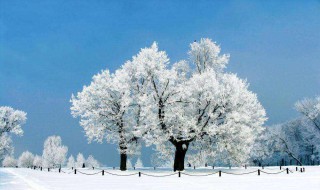 写冬天景色的诗句 写冬天景色的诗句有哪些