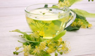 桑叶茶的功效 桑叶茶的功效与作用泡水喝的功效