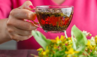 茉莉花茶功效与作用 茉莉花茶功效与作用及营养价值