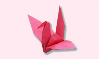 千纸鹤的含义 千纸鹤的含义?