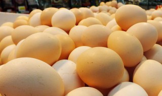 鸡蛋壳的作用 花盆放鸡蛋壳的作用