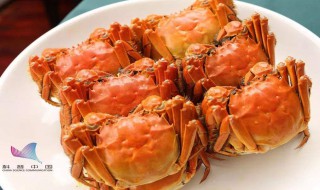 螃蟹跟什么不能一起吃 螃蟹跟什么不能一起吃禁忌食物