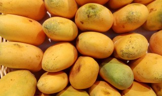 芒果不能跟什么水果一起吃 芒果不能跟什么水果一起吃呢