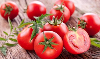 番茄营养价值及功效（番茄营养价值及功效与作用）