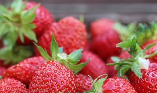 草莓哪种品种最好 草莓哪种品种最好吃