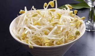广东黄豆芽的做法和配方 黄豆芽的做法大全