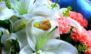 百合加康乃馨的花语 百合和康乃馨花搭配图花瓶