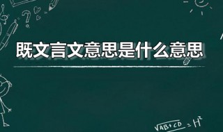 既文言文意思是什么意思（既的文言文意思是什么意思）