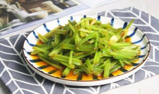 野芹菜怎么做好吃 野芹菜怎么做好吃视频