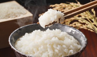 煮糙米饭放多少水（糙米饭的正确煮法）