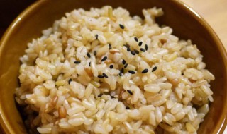 煮糙米饭的米水比例（煮糙米饭加多少水）