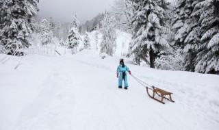 雪天如何防止摔倒 下雪天怎样防止摔跤教案