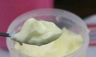 自制酸奶（自制酸奶可以在冰箱里放几天）