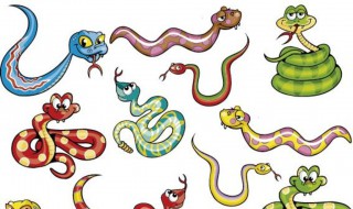梦到很多蛇是什么意思 孕晚期做梦梦到很多蛇是什么意思