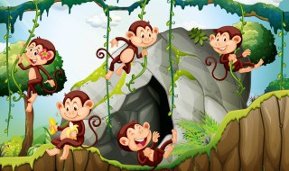 2004年属猴是什么命（2016年属猴是什么命）