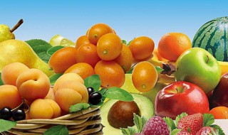 十大最有营养的水果 十大最有营养的水果排行榜