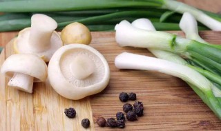 白蘑菇怎么做好吃 白蘑菇怎么做好吃家常做法