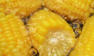 煮玉米的水能喝吗 煮玉米的水能喝吗有什么功效和作用