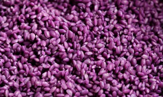 紫米的功效与作用 紫糯米的功效与作用