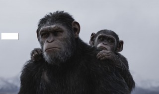 关于猩猩的电影 关于猩猩的电影有哪些名字