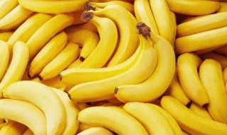 香蕉的资料（香蕉的资料大全100字以上）