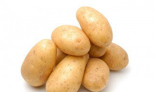 马铃薯和土豆的区别 马铃薯和土豆的区别有哪些