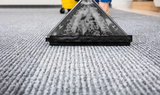 地毯脏了怎么清洁 地毯脏了怎么清洁才干净