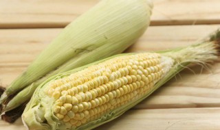 水果玉米减肥可以吃吗 水果玉米和糯玉米哪个热量高