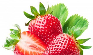 减肥可以吃草莓吗（减肥可以吃草莓吗吃几个）