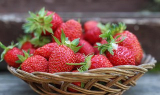 草莓种植 草莓种植与管理技术视频
