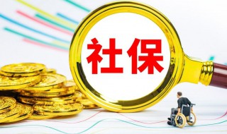 社保个人账户怎么查询 灵活就业社保个人账户怎么查询