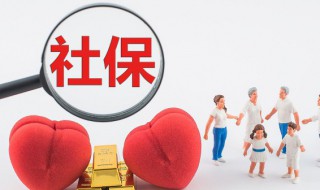 社保养老保险怎么交（社保养老保险怎么交费）