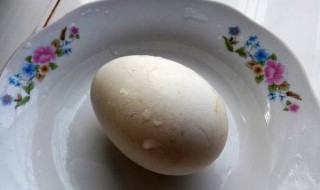 鹅蛋怎么煮碰蛋不易破 鹅蛋怎么煮碰蛋不易破皮