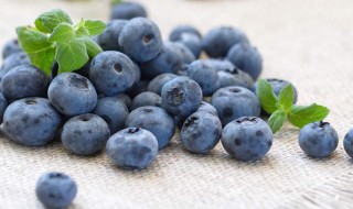 蓝莓酒的功效与作用 蓝莓的功效与作用