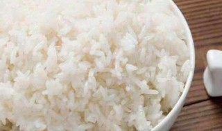 米饭热量 米饭热量高还是馒头