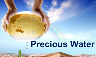 precious是什么意思 precious是什么意思英语