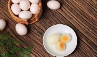 鸽子蛋营养介绍 鸽子蛋营养价值有多高