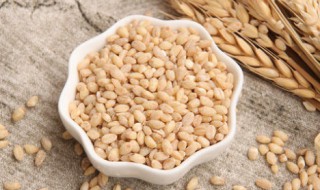 新鲜小麦仁的营养价值 新鲜小麦仁的营养价值及功效